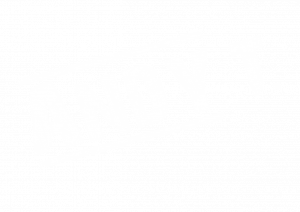 andy